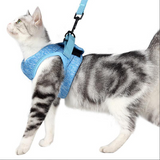 Katze Geschirr mit Leine