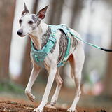 Verstellbares Anti-Zug Hundegeschirr mit Leine