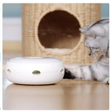 Interaktives Katzenspielzeug – Automatisches Spielzeug mit Regenbogen-Puschelfeder" 

Here’s a rewritten version:  
"Automatisches interaktives Katzenspielzeug mit Regenbogen-Puschelfeder
