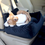 Komfortable Autositzauflage für Haustiere – Transportlösung für Hunde und Katzen
