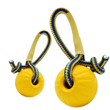 Robustes Hundespielzeug – Apportier- und Zerrball mit Seil" 

Here’s a rewritten version: 

"Strapazierfähiges Hundespielzeug – Apportier- und Zerrball mit Seil
