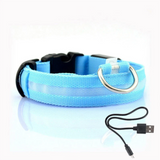 LED-Beleuchtetes Hundehalsband