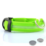 LED-Beleuchtetes Hundehalsband