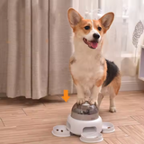 Futterspender für Hunde mit Transparenter Kammer – Einfaches Nachfüllen und Sichtbare Futtermenge