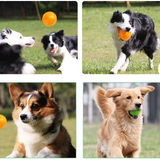 Noppenball für Hunde – Zahnpflege- und Massageball für spielerische Unterhaltung