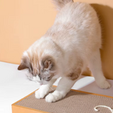 Robuste Kratzmatte für Katzen mit Spielmotiv