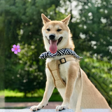 Kühlendes Hundehalsband mit traditionellem Design für heiße Sommertage