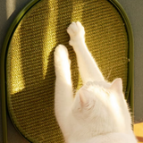 Moderner Katzenkratzbaum – Sisal-Kratzspielzeug für die Krallenpflege Ihrer Katze