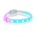 USB-aufladbares LED-Hundehalsband mit mehreren Farbmodi – Optimale Sichtbarkeit bei Nacht
