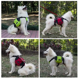 Verstellbarer und wasserdichter Hunde-Rucksack für Outdoor-Abenteuer – Rot und Grau