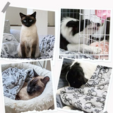 Gemütliche Hundedecke für Sofa und Bett – Weiche Haustierdecke mit Pfotenmotiv