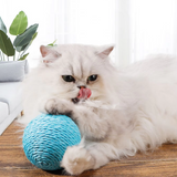 Natur-Sisalball – Kratz- und Spielzeug für Katzen