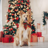 Gestreiftes Hunde-Halsband mit Schleife für Weihnachten und festliche Anlässe