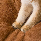 Bequemes Haustierhaus – Weiches, wärmendes Bett für Katzen und Hunde im kuscheligen Design