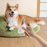 Zeckenentferner-Set – Sicheres Werkzeug für Hunde und Katzen" 

Rewritten: "Zeckenentferner-Set – Zuverlässiges Werkzeug für Hunde und Katzen