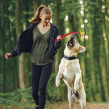 Hundeballwerfer – Spaß beim Weitwurf für aktive Hunde