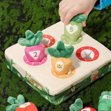 Interaktives Katzenspielzeug-Set – Bunte Fischspielzeuge zum Kauen und Spielen