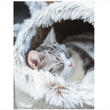 Katzenbett mit weichem Rand für höchsten Komfort