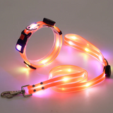 Leuchtendes LED-Hundehalsband mit Leine für sichere Ausflüge