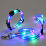 Leuchtendes LED-Hundehalsband mit Leine für sichere Ausflüge