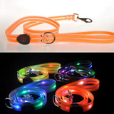Leuchtendes LED-Hundehalsband mit Leine für sichere Ausflüge
