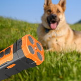 Fernbedienbarer Tragbarer Hundetrainer