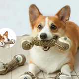 Seilspielzeug für Hunde mit Bällen – Kauspielzeug mit Pfotenabdruck