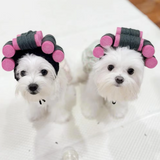 Verspielte Haustierkostüme – Bunte Haaraccessoires für Hunde und Katzen