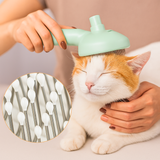 3-in-1 Dampfbürste PLUS - Sonderangebot 2 für 1 🎁