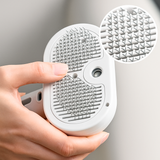 3-in-1 Dampfbürste PLUS - Sonderangebot 2 für 1 🎁