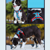 Verstellbares Hundegeschirr im tropischen Design mit gepolsterter Brust – Perfekt für aktive Hunde
