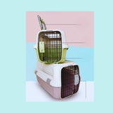 Robuste Katzen-Transportbox mit Belüftungslöchern – Sicheres Reisen für Ihre Katze