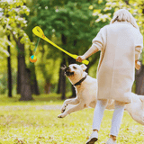 Hundespielzeug: Wurfspiel mit Ballwurf-Stab für Hunde