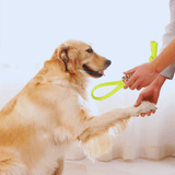 Buntes Seilspielzeug für Hunde – Ideal zum Kauen und Spielen