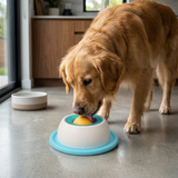 Interaktiver Snackteller für Hunde – Langsame Fütterungsspielzeug