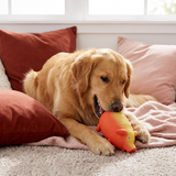 Robustes Latex-Spielzeug im Bauernhof-Design für Hunde – Quietschend und langlebig