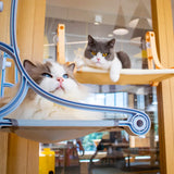 Katzenfensterbank mit Saugnäpfen – Gemütlicher Schlaf- und Ruheplatz für Ihre Katze