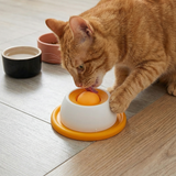 Interaktiver Snackteller für Katzen – Langsame Fütterungsspielzeug