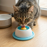 Interaktiver Snackteller für Katzen – Langsame Fütterungsspielzeug