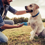 Schutzhundeschuhe für Hitze, Kälte und Schmutz