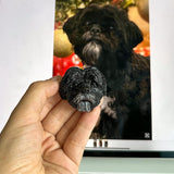 Individueller Kühlschrankmagnet für Haustiere