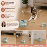 Automatisches Spielzeug für Katzen mit Laufbahn