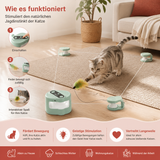 Automatisches Spielzeug für Katzen mit Laufbahn