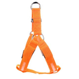 Leuchtendes Hundegeschirr