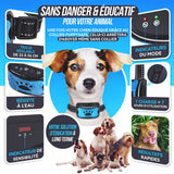 Anti-Bell-Halsband PuppySafe