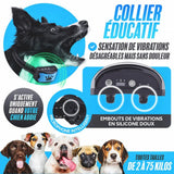 Anti-Bell-Halsband PuppySafe