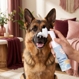 Sanfter, wasserfreier Pfotenreinigungsschaum mit Bürste für Hunde