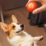 Interaktiver Hundespringball