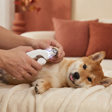 2-in-1 Geräuschloses Krallenpflegegerät für Hunde – Leise, Wiederaufladbar und Sanft